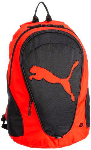 PUMA - Bolsa de Acampada y Senderismo, Talla única