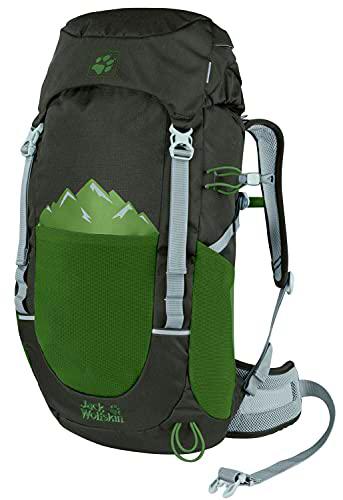 Jack Wolfskin Pioneer 22 Pack, Mochila de Trekking para niño Unisex-Child