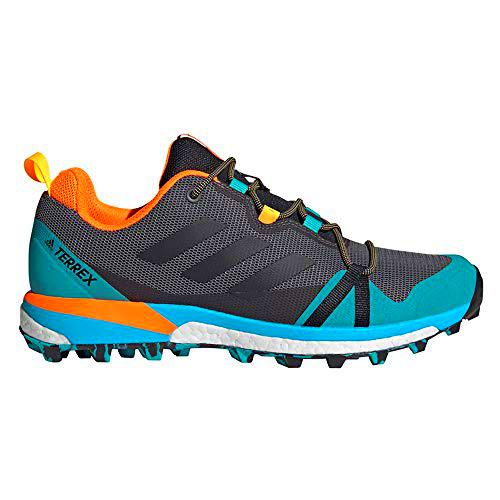 adidas Terrex Skychaser LT, Zapatillas de Hiking Hombre