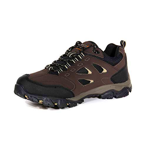 Regatta Holcombe Iep Low, Walking Shoe Mens, (Peat/Gld Fawn 40q), 12 EU