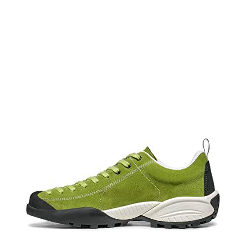 Scarpa Mojito, Zapatillas de Trail Running Hombre, Aloe BM Spider, 43 EU