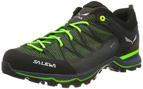 Salewa